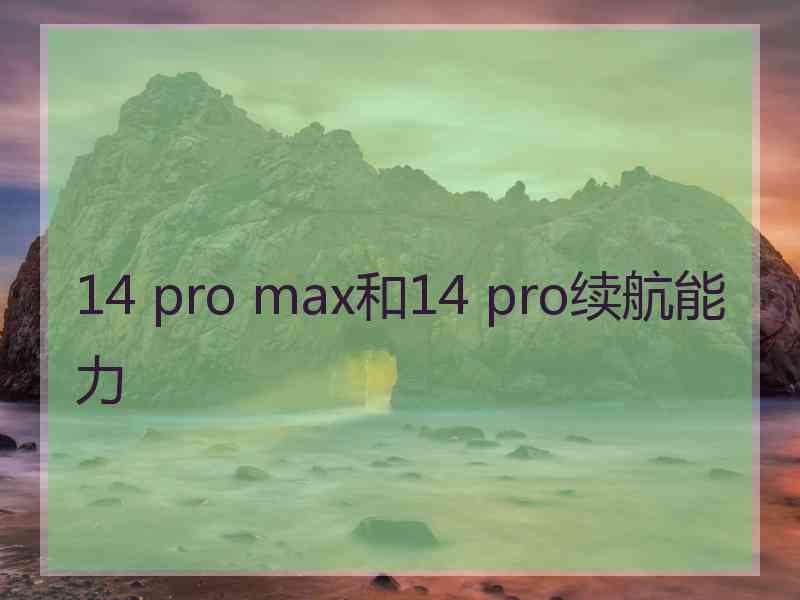 14 pro max和14 pro续航能力