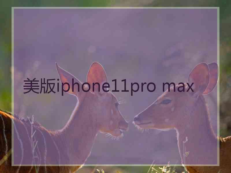 美版iphone11pro max