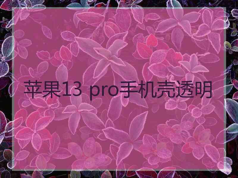 苹果13 pro手机壳透明