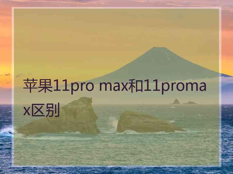 苹果11pro max和11promax区别