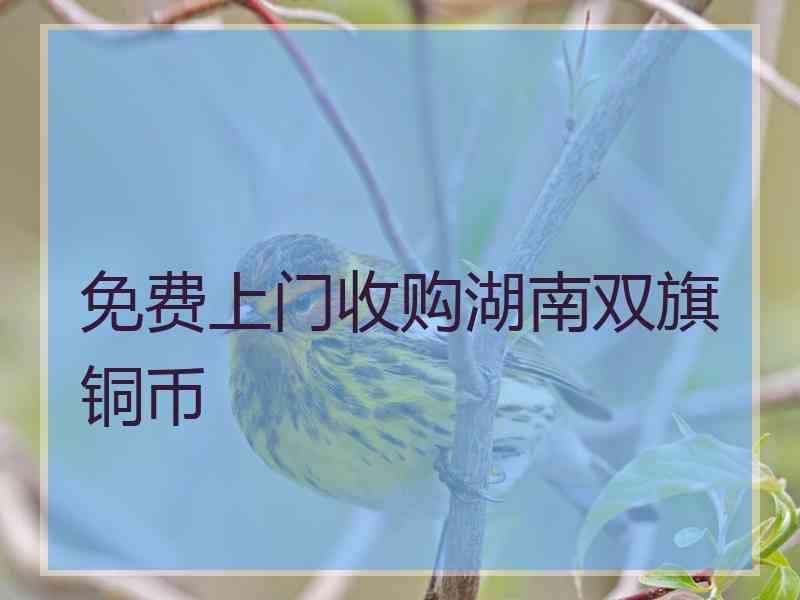 免费上门收购湖南双旗铜币