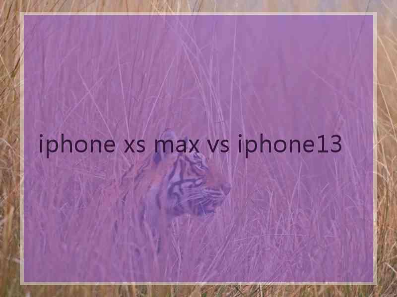 iphone xs max vs iphone13