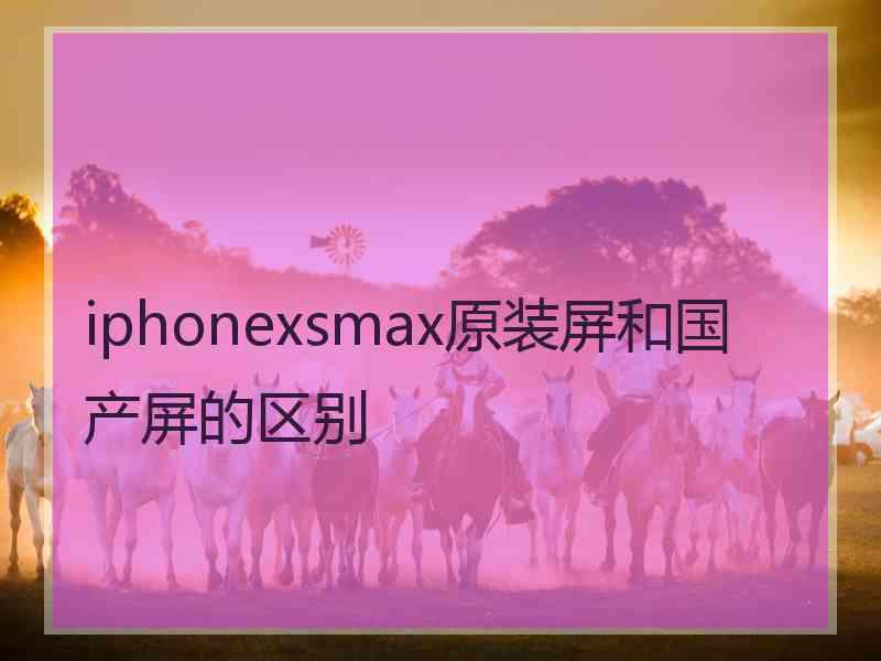 iphonexsmax原装屏和国产屏的区别