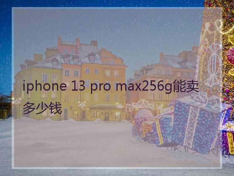 iphone 13 pro max256g能卖多少钱