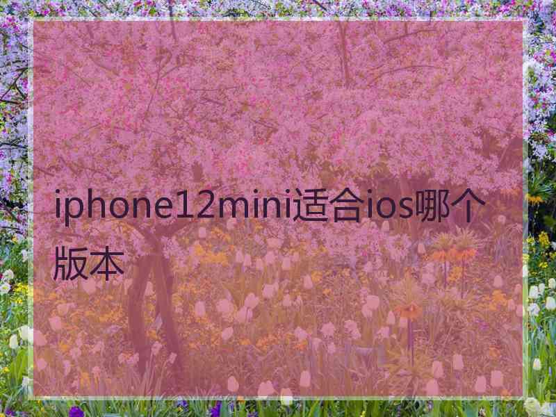 iphone12mini适合ios哪个版本