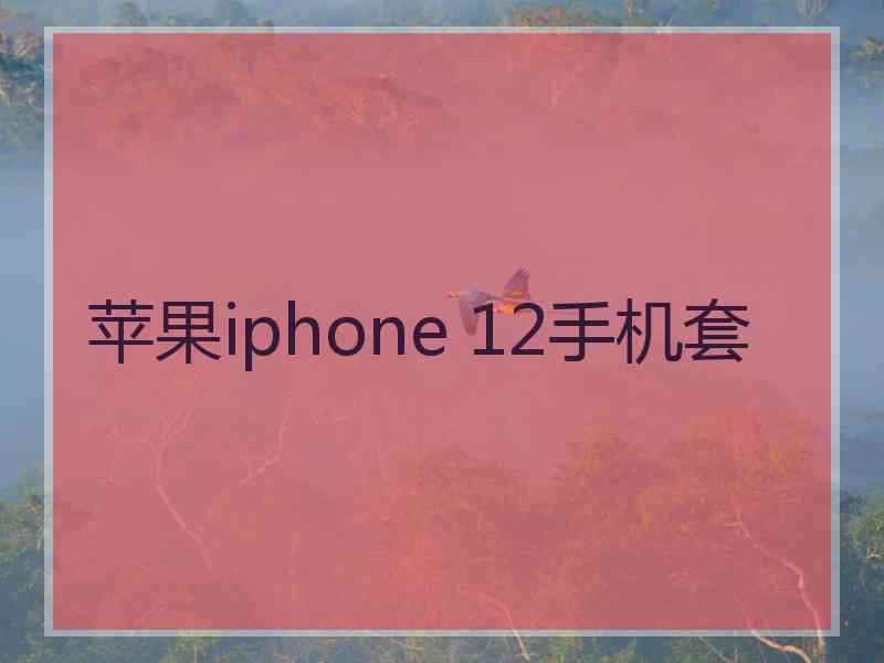 苹果iphone 12手机套