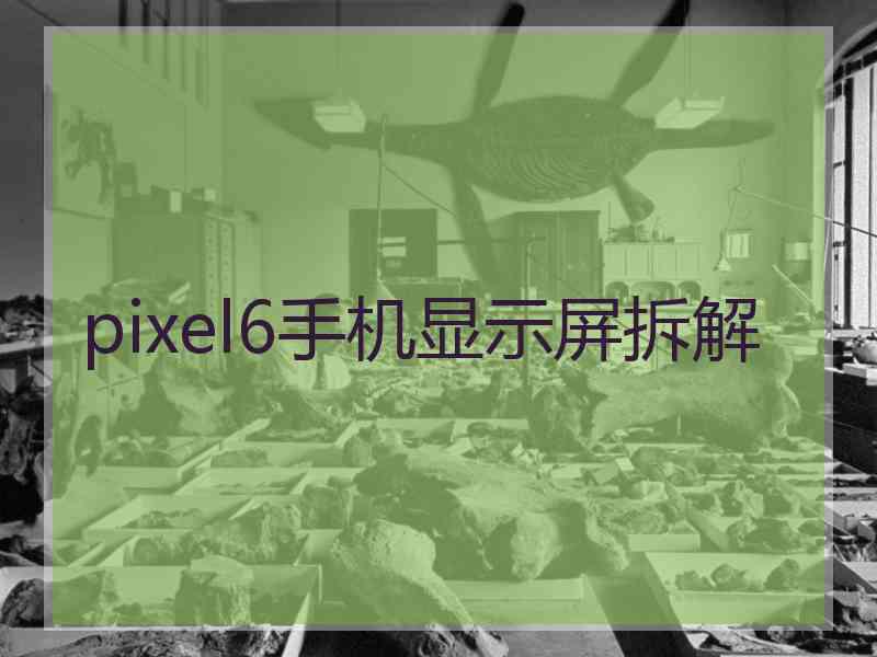 pixel6手机显示屏拆解