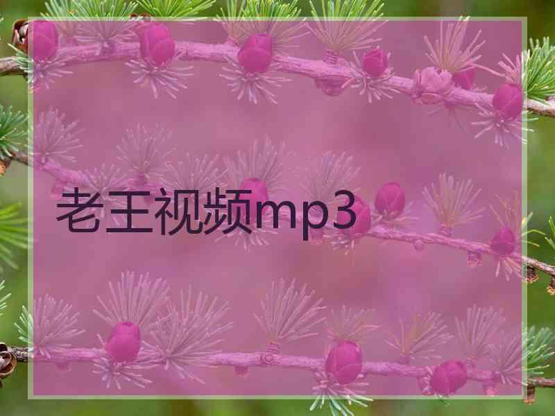 老王视频mp3