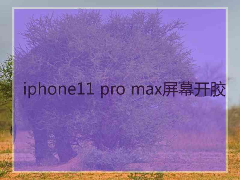 iphone11 pro max屏幕开胶