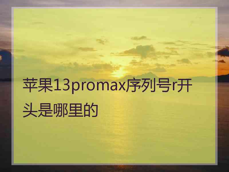 苹果13promax序列号r开头是哪里的