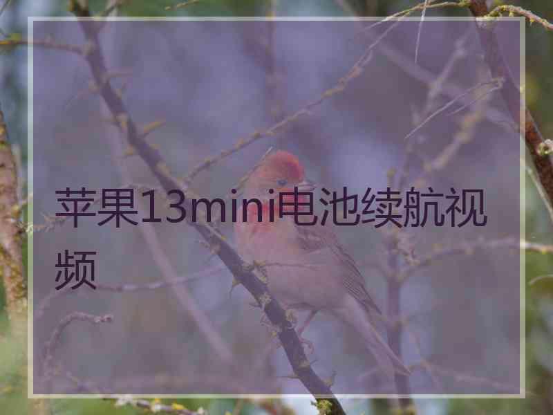 苹果13mini电池续航视频