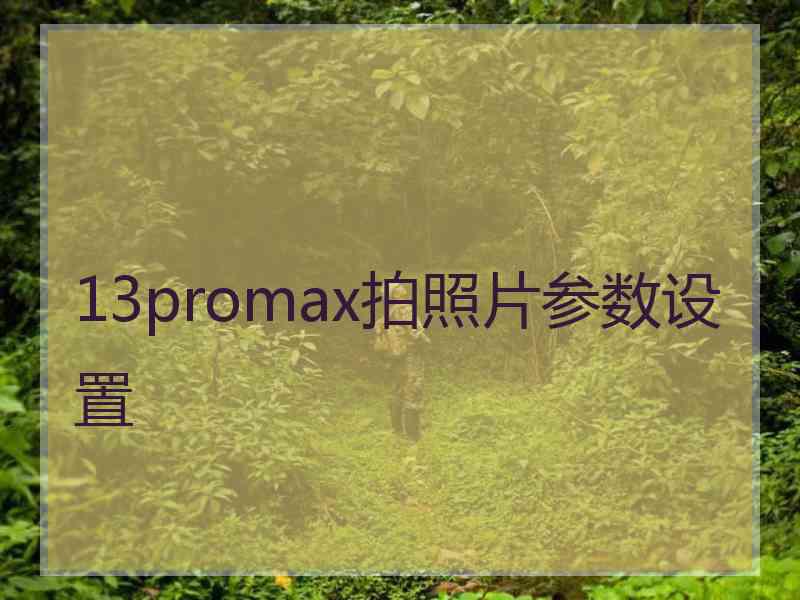 13promax拍照片参数设置