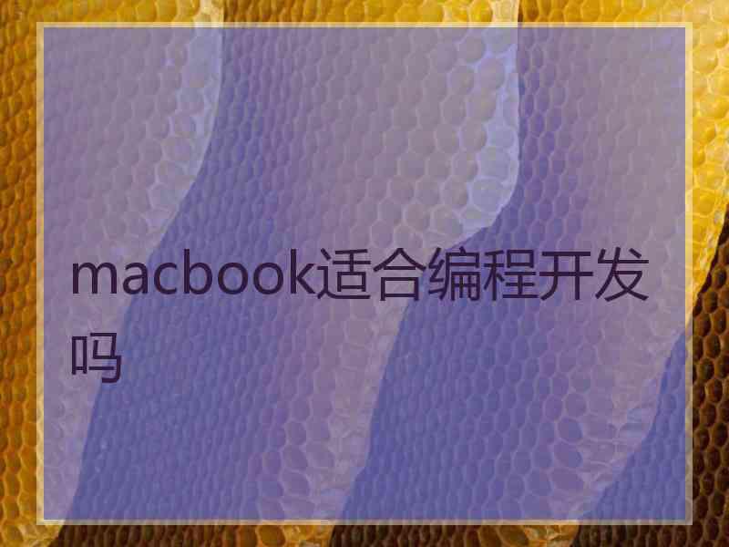 macbook适合编程开发吗