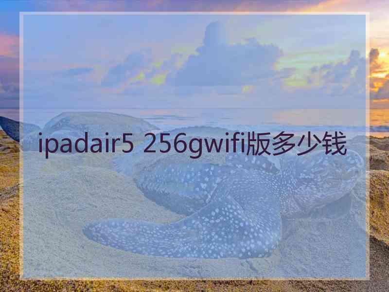 ipadair5 256gwifi版多少钱