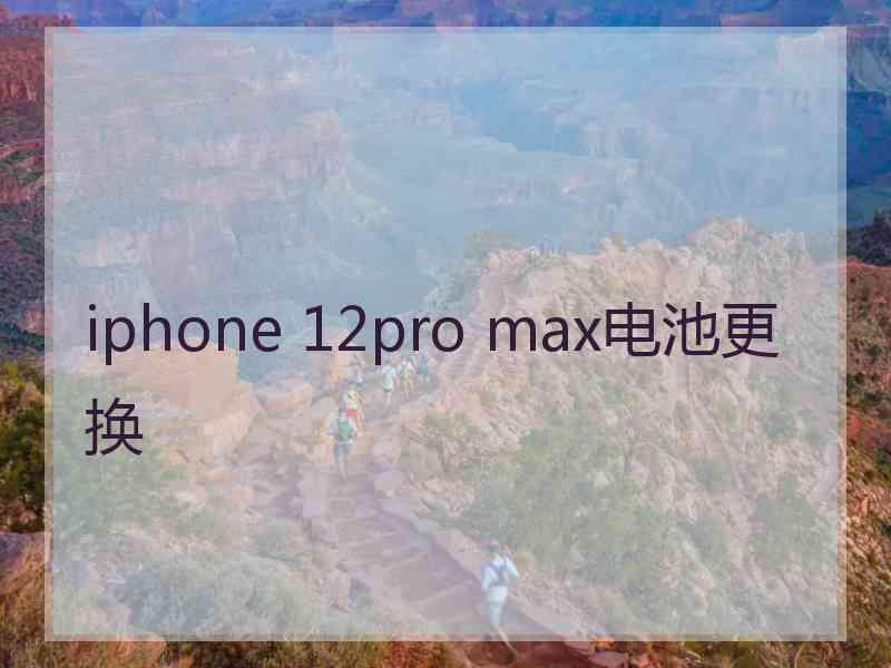 iphone 12pro max电池更换