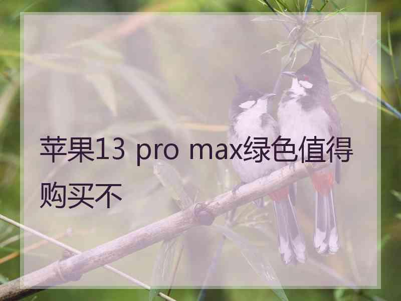 苹果13 pro max绿色值得购买不