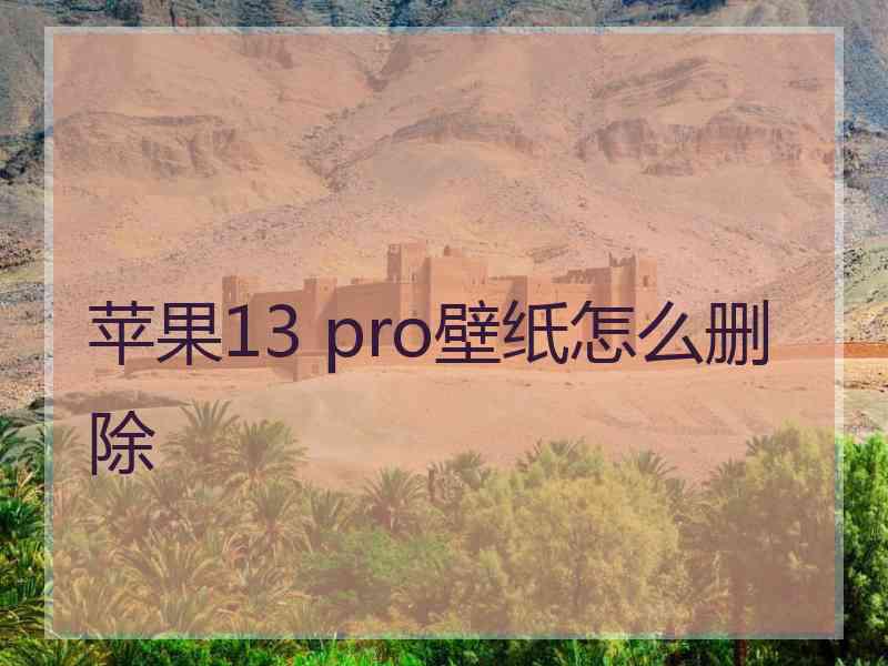 苹果13 pro壁纸怎么删除