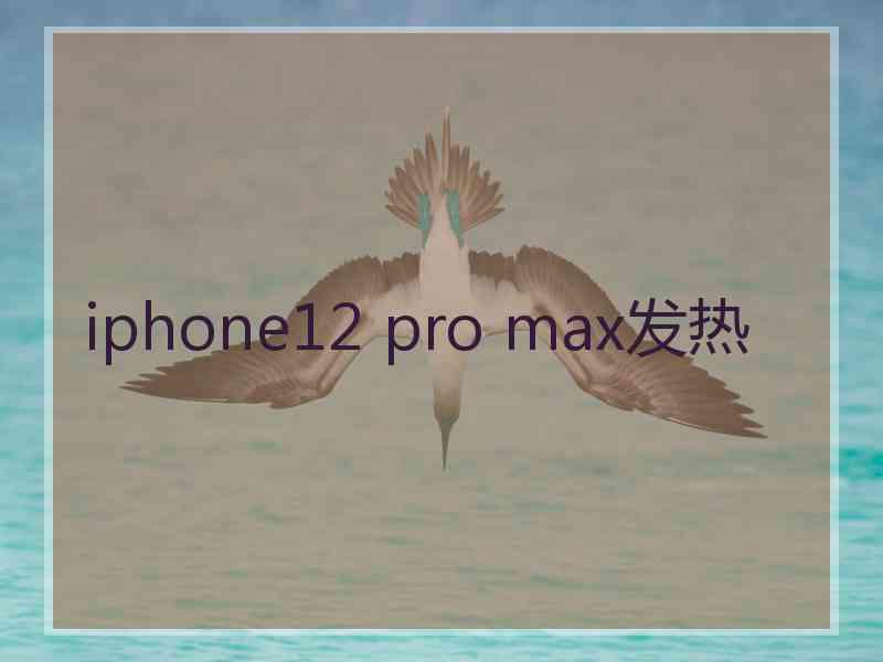 iphone12 pro max发热