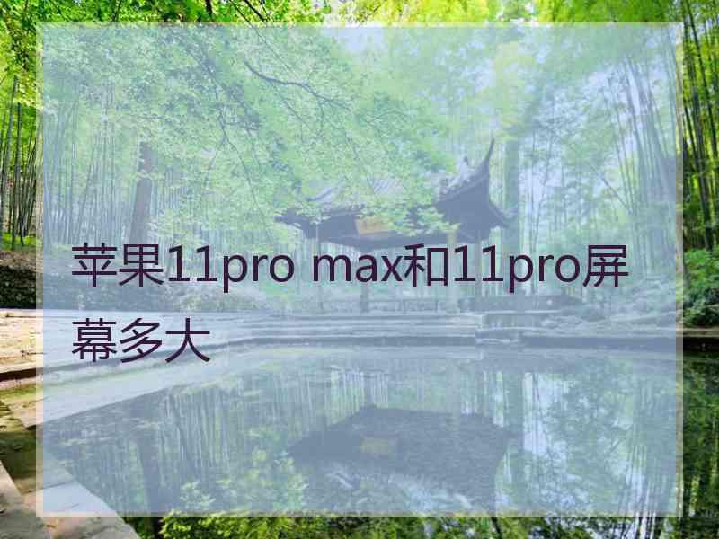 苹果11pro max和11pro屏幕多大