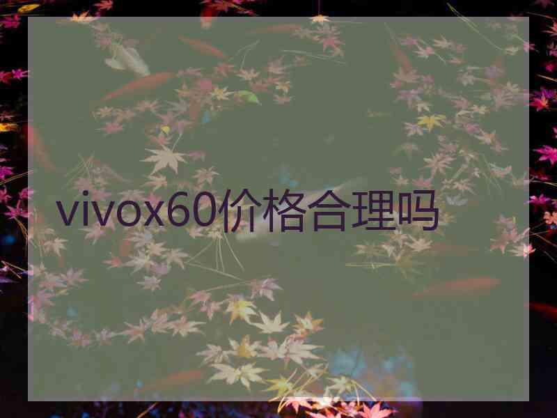 vivox60价格合理吗