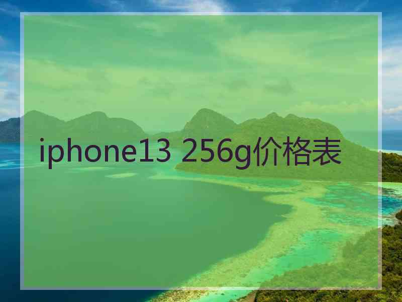 iphone13 256g价格表