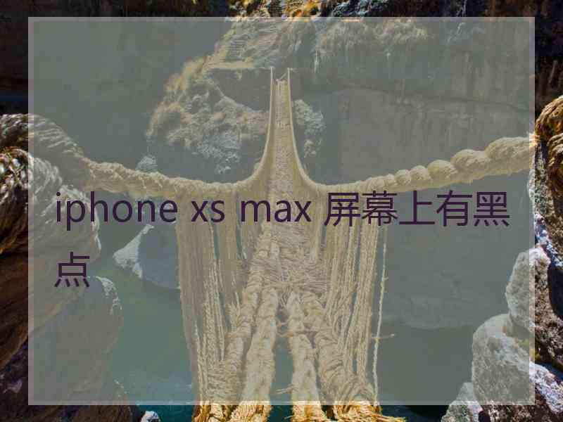 iphone xs max 屏幕上有黑点