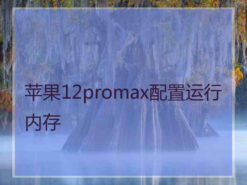 苹果12promax配置运行内存