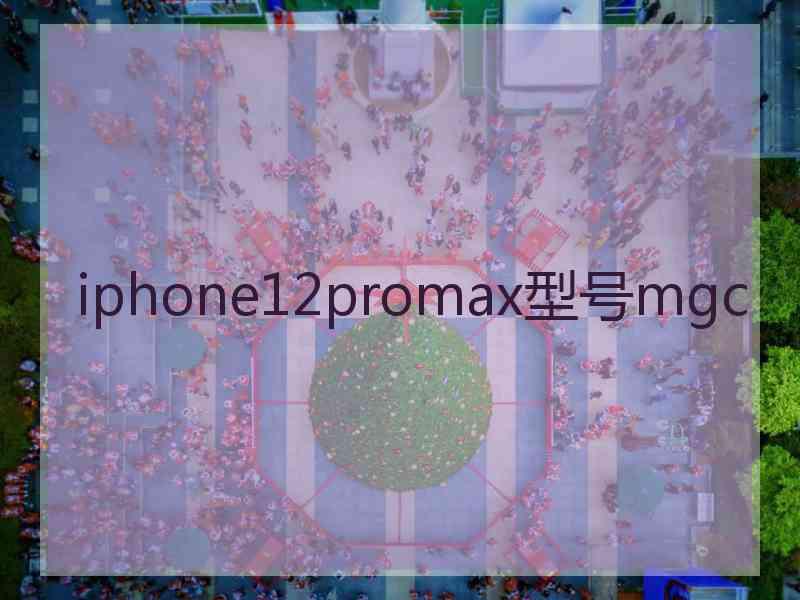 iphone12promax型号mgc