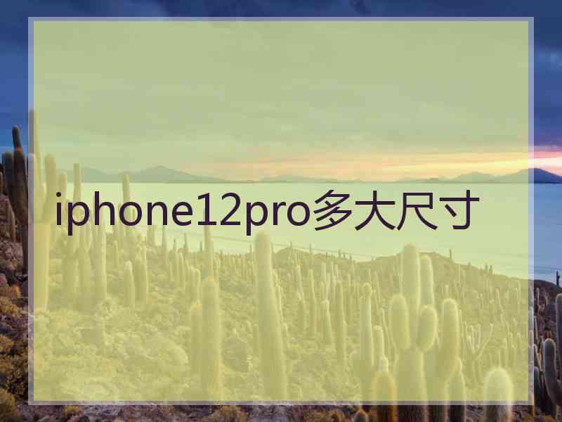 iphone12pro多大尺寸