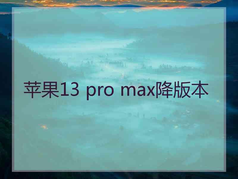 苹果13 pro max降版本