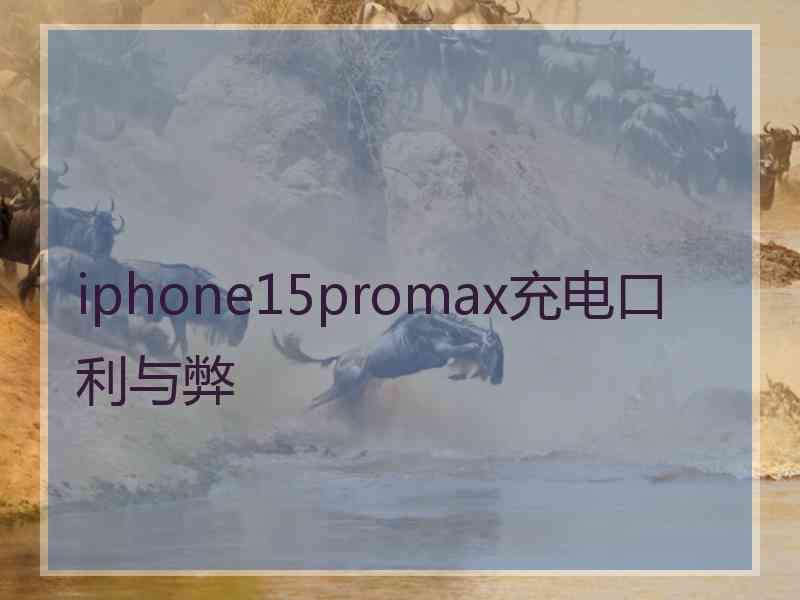 iphone15promax充电口利与弊