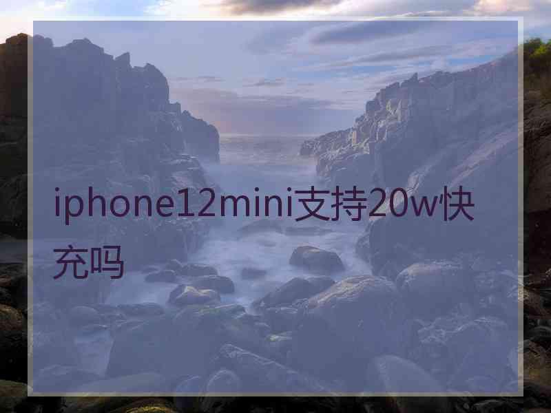 iphone12mini支持20w快充吗