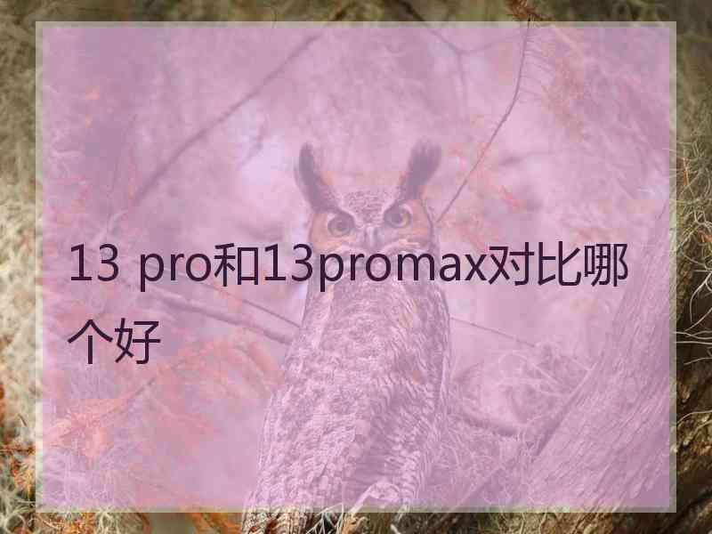 13 pro和13promax对比哪个好