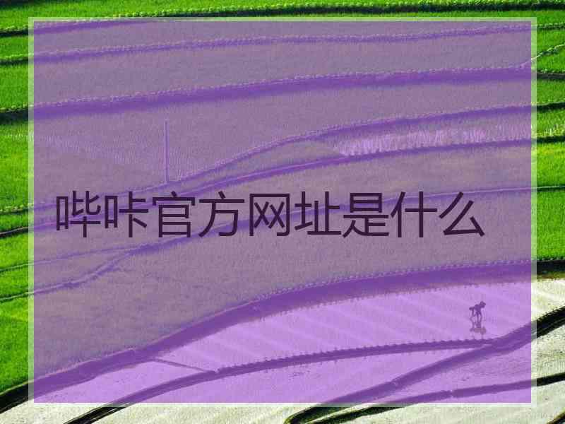 哔咔官方网址是什么