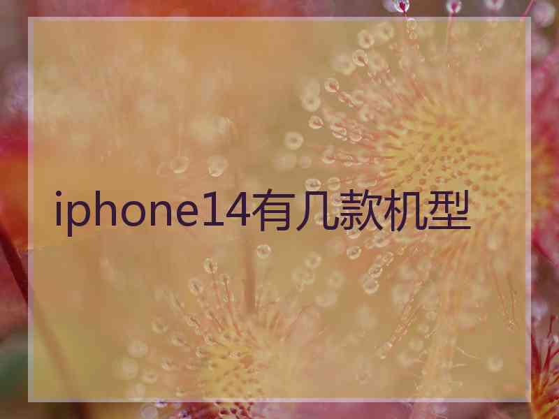 iphone14有几款机型