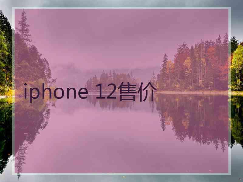 iphone 12售价