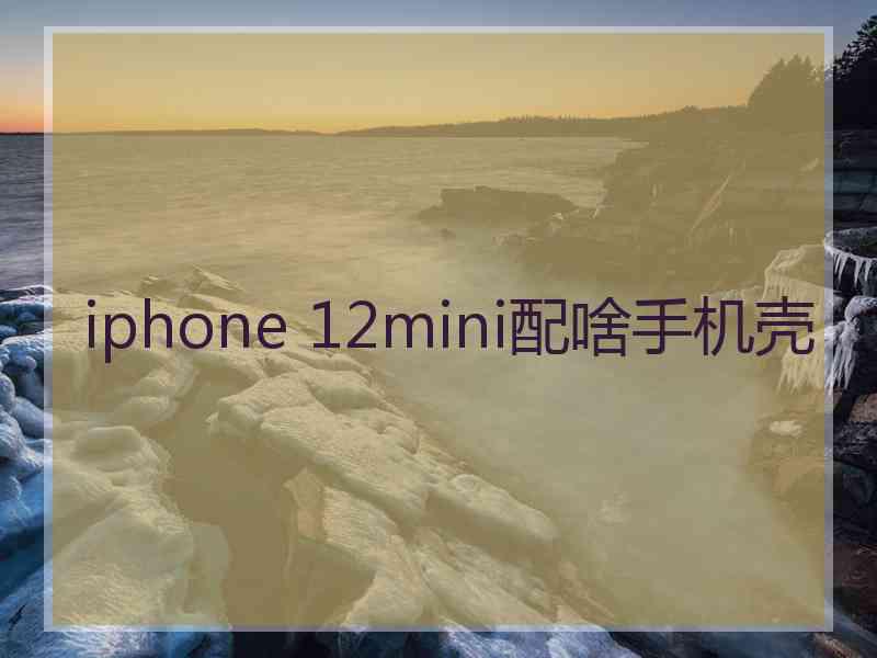 iphone 12mini配啥手机壳