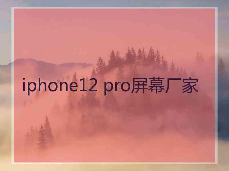 iphone12 pro屏幕厂家