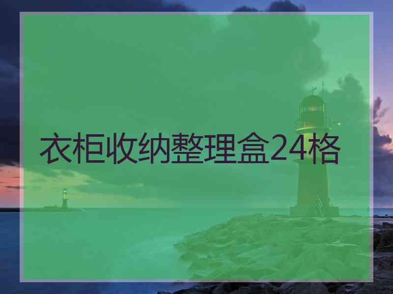 衣柜收纳整理盒24格