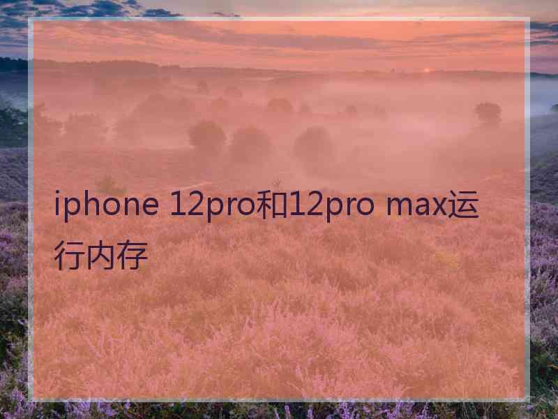 iphone 12pro和12pro max运行内存