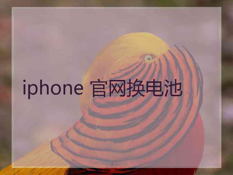 iphone 官网换电池