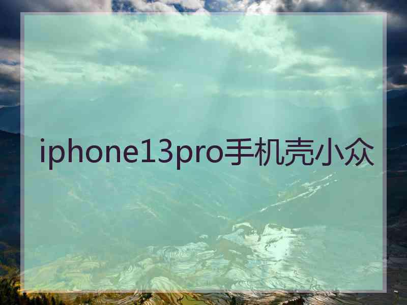 iphone13pro手机壳小众