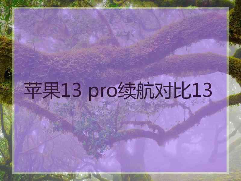 苹果13 pro续航对比13