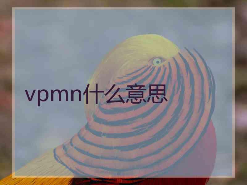 vpmn什么意思