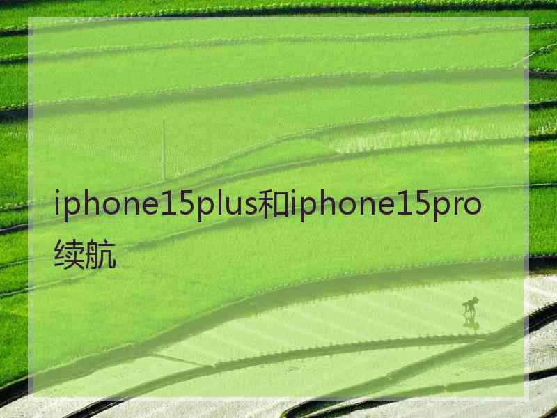 iphone15plus和iphone15pro续航