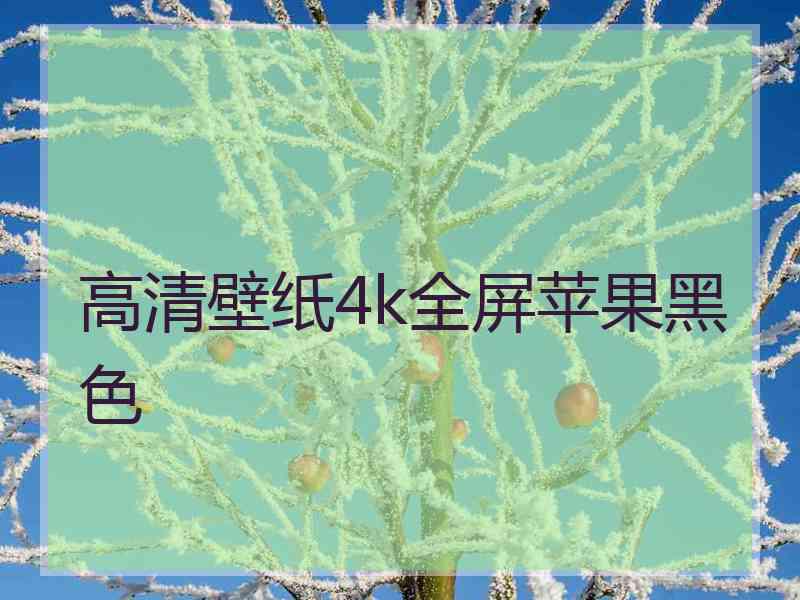 高清壁纸4k全屏苹果黑色