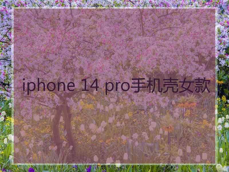 iphone 14 pro手机壳女款