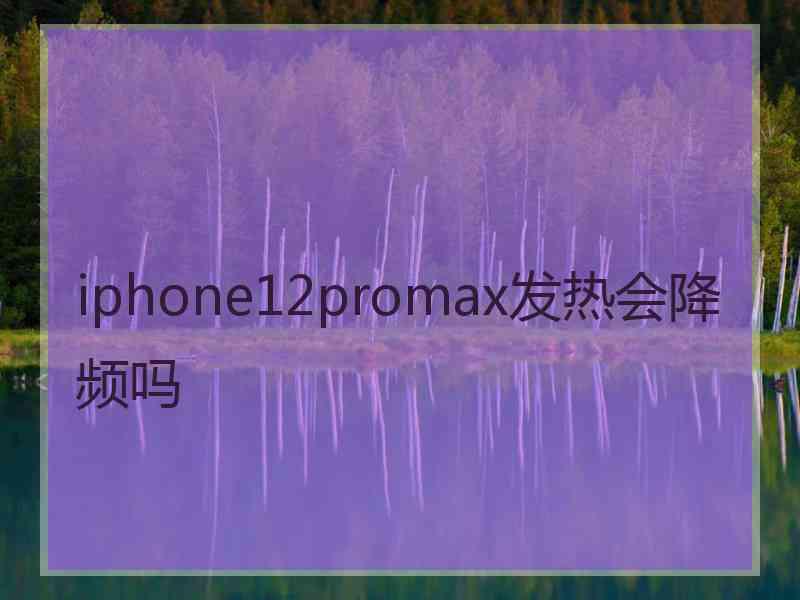 iphone12promax发热会降频吗