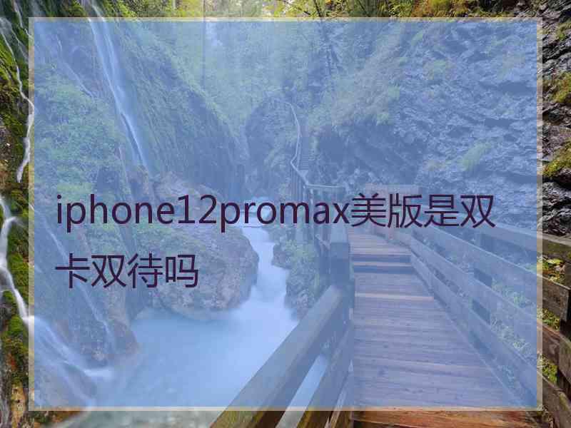 iphone12promax美版是双卡双待吗