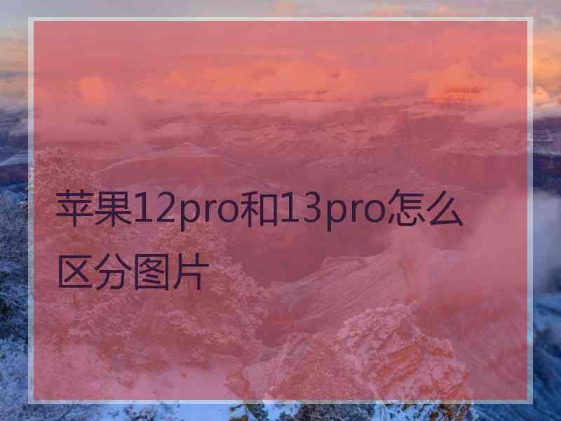 苹果12pro和13pro怎么区分图片